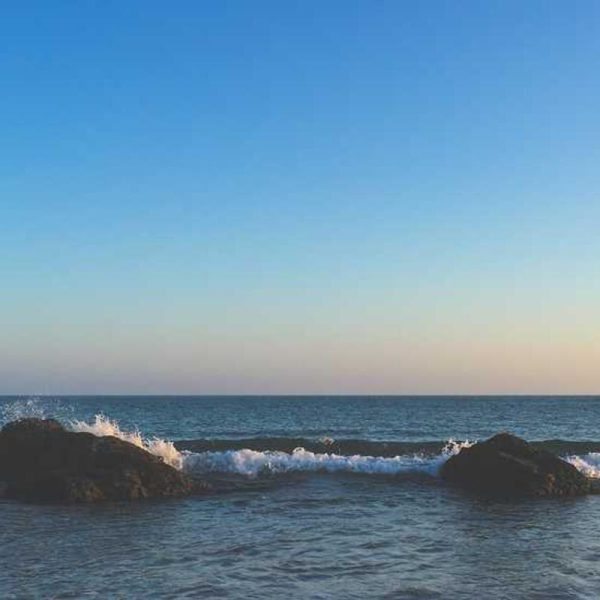 Multi-Function Car Mounts / Holders – Versatile