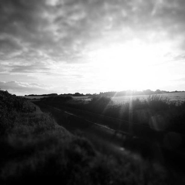 Premium Stands – High Quality