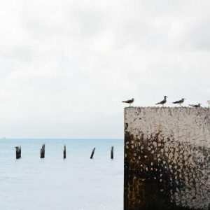 Compact Stands – Space Saving