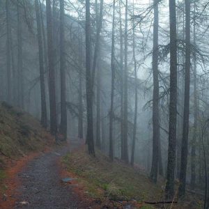 Bumper iPhone 14 / 14 Pro Case – Edge Protection