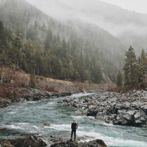 Premium Stands Pro – Enhanced