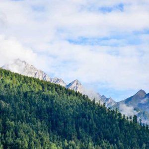 Premium Smart Lamps Pro – Enhanced