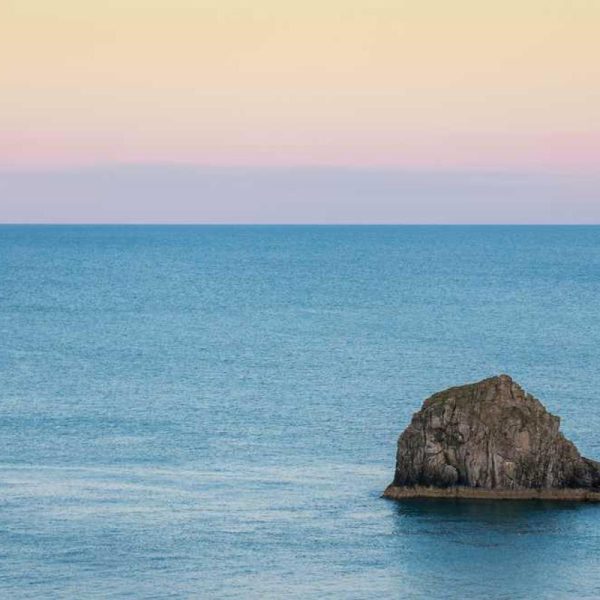 Clear Samsung S24 Ultra Case – Transparent Design