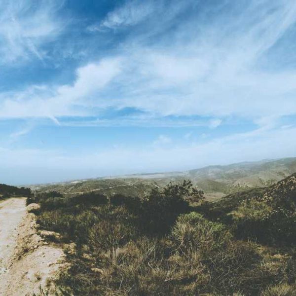 Gel Samsung S24 Ultra Case – Flexible Fit