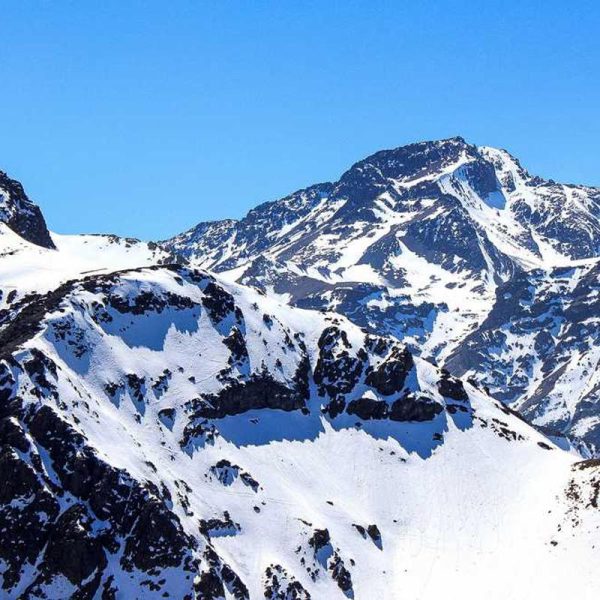 Clear Samsung S24 / S24+ Case – Transparent Design