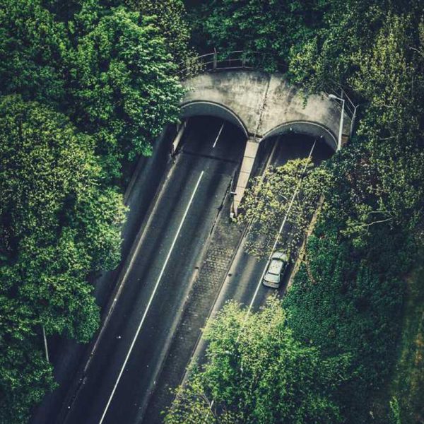 Hard Shell Samsung S24 / S24+ Case – Maximum Protection