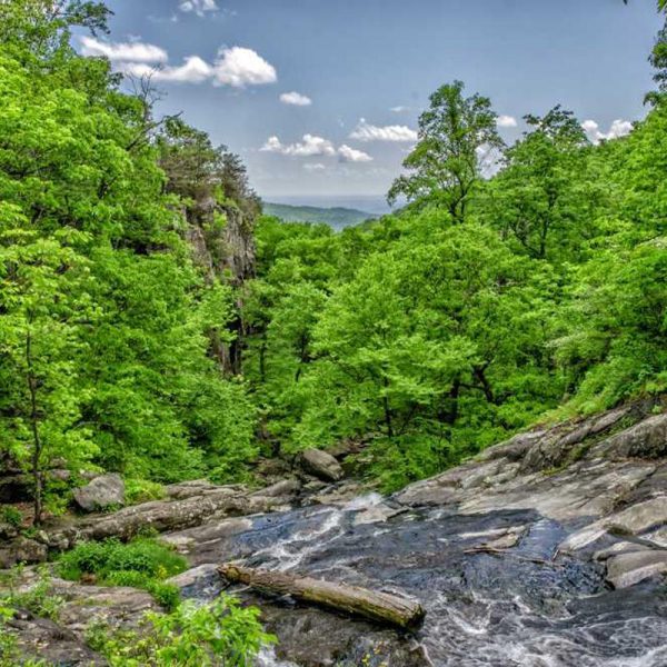 Rugged Samsung A-Series Case – Heavy Duty