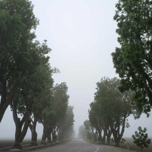 Ultra-Thin Samsung A-Series Case – Minimalist