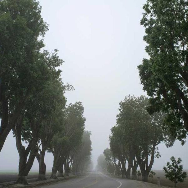 Ultra-Thin Samsung A-Series Case – Minimalist