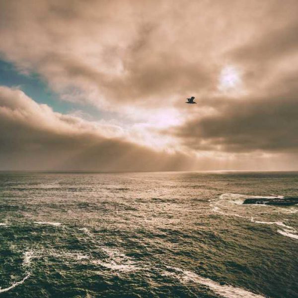 Fast Charging Redmi Series – Quick Power