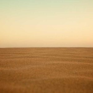 Premium Poco Series – High Quality