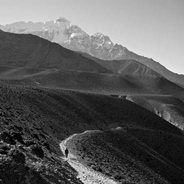 Smart Poco Series – Intelligent Features