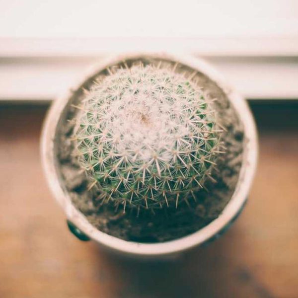 Gel Silicone Case – Flexible Fit